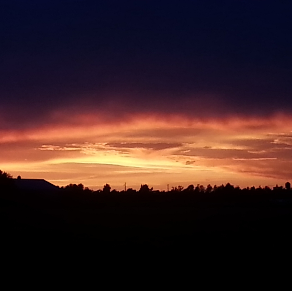 Meet your Posher, Ellie